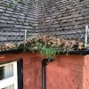 Gutter Cleaning- Samantha’s Story